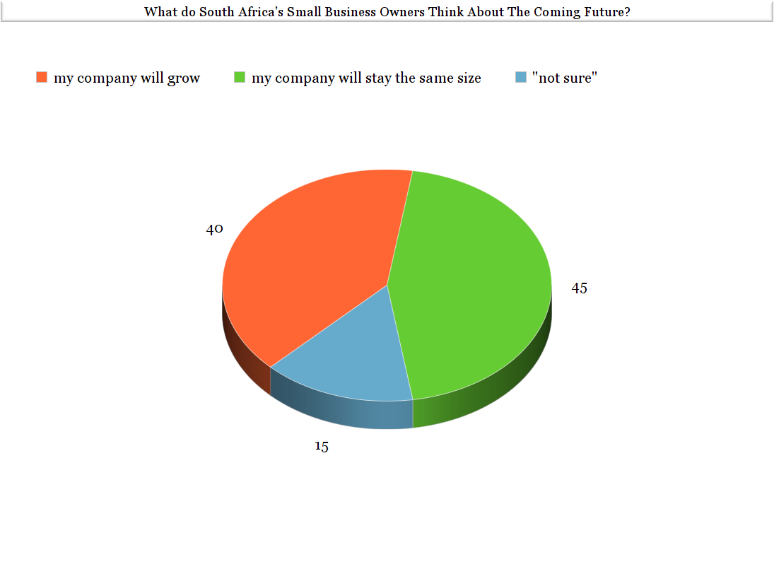 south africa's business owners
